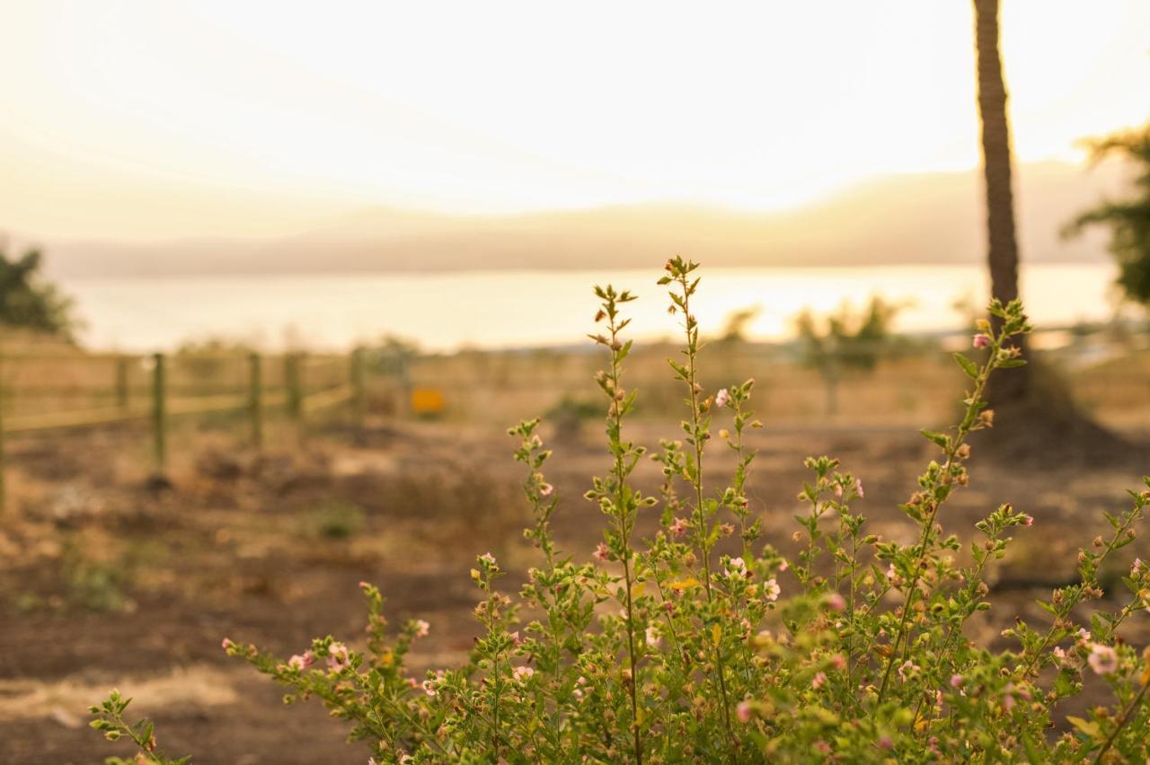 Sky Glamping Boutique Ξενοδοχείο Ramot Εξωτερικό φωτογραφία
